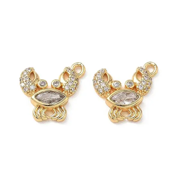 Brass Micro Pave Clear Cubic Zirconia Charms