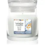 Yankee Candle Silver Birch vonná svíčka Signature 110 g