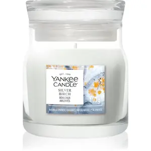 Yankee Candle Silver Birch vonná svíčka Signature 110 g