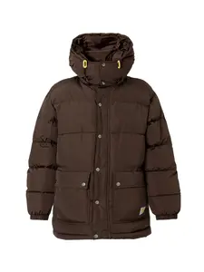 Carhartt WIP Zimná bunda 'Brent'  tmavohnedá
