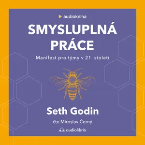 Smysluplná práce - Seth Godin - audiokniha
