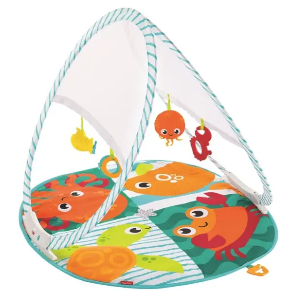 Fisher Price Hrací dečka do tašky