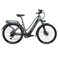 Heda TX TX10 Electric Bike 500W 48V 19.2AH Grey
