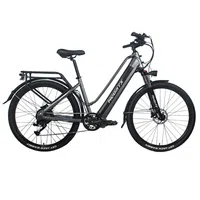 Heda TX TX10 Electric Bike 500W 48V 19.2AH Grey