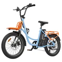 Hidoes C6 Electric Bike 250W 36V 13Ah