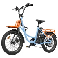 Hidoes C6 Electric Bike 250W 36V 13Ah
