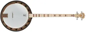 Deering Goodtime Two Plectrum
