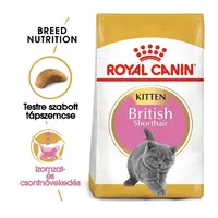 Royal Canin British Shorthair Kitten - granule pro britská krátkosrstá koťata 2 kg