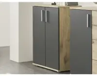 Skrinka 2-dverová Bacalar, dub viking/šedá%