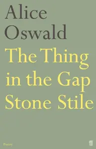 The Thing in the Gap Stone Stile - Alice Oswald