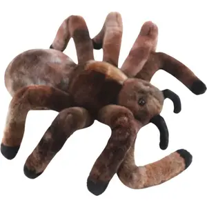 Pavouk sklípkan 30 cm