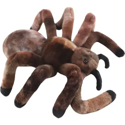 Pavouk sklípkan 30 cm