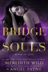 Bridge of Souls - Meredith Wild, Angel Payne