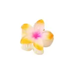 Flower Shape Plastic Claw Hair Clips