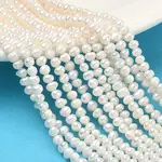 Natural Cultured Freshwater Pearl Beads Strands