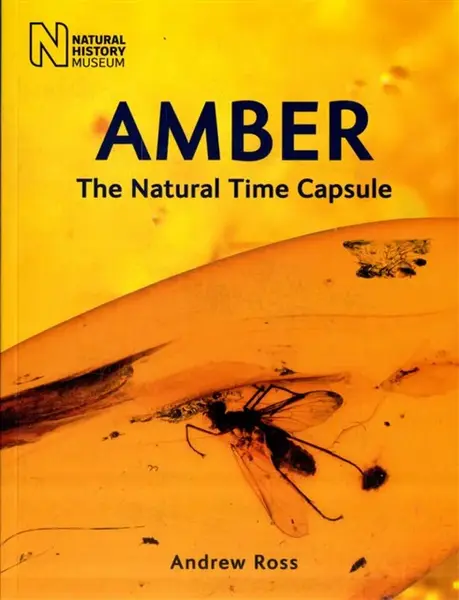 Amber - Andrew Ross