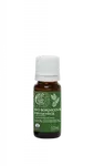 TIERRA VERDE Esenciální olej Borovicová pryskyřice BIO 10 ml