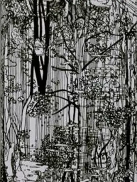 Bucherwald - Ingo Giezwndanner