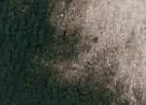 Akvarelová barva DS 5ml – 110 van Dyck Brown