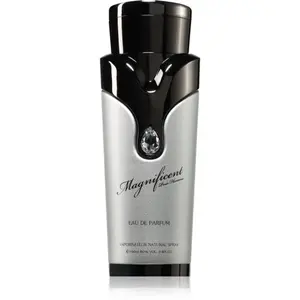 Armaf Magnificent Pour Homme parfumovaná voda pre mužov 100 ml