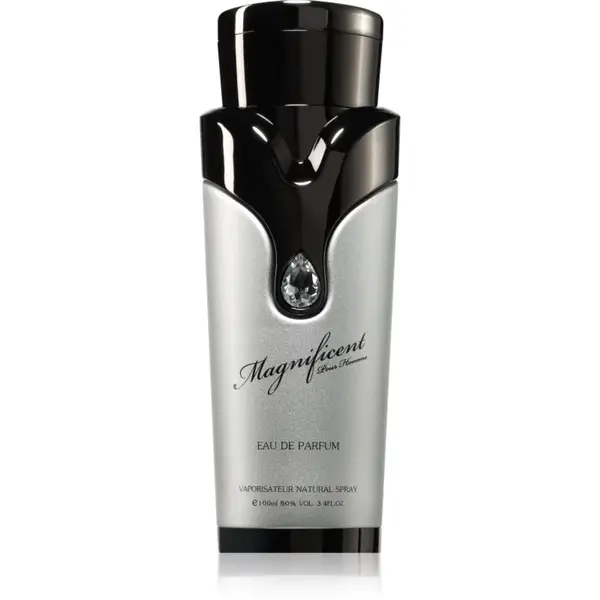 Armaf Magnificent Pour Homme parfumovaná voda pre mužov 100 ml