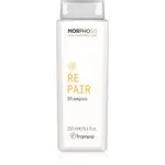 Framesi Morphosis Repair obnovujúci šampón pre suché, namáhané vlasy 250 ml