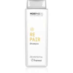 Framesi Morphosis Repair obnovujúci šampón pre suché, namáhané vlasy 250 ml
