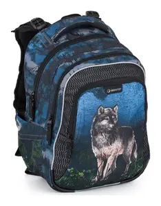 Veľký školský set Bagmaster LUMI 24 F Set L Wolf