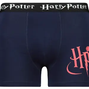 Pánske boxerky Harry Potter - Frogies