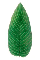 Servírovací talíř Costa Nova Riviera Strelizia 40 cm