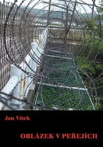 Oblázek v peřejích - Jan Vítek