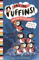 Call the Puffins: Tiny and the Cave Ghost - Cath Howe