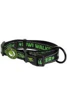 Obojek nylon 42-55cm/2,5cm zelená Kiwi