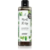 Anwen Mint It Up exfoliační šampon 200 ml