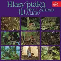 Zvukové efekty – Hlasy ptáků (1) Pěvci zahrad a lesů