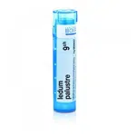 BOIRON Ledum Palustre CH9 4 g