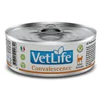 VET LIFE Natural Convalescence konzerva pro kočky 85 g