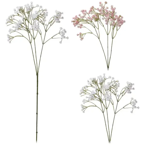 Gypsomilka metlinatá  68 cm