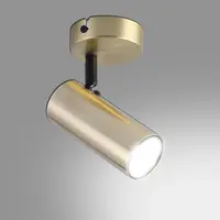 Nástenné bodové svietidlo  Colly 1X15W Zlatý LS1