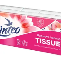 Linteo Papírové kapesníky 3-vrstvé 10x10 ks