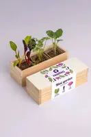 Sada na pěstování rostlin RESETEA Mini garden Strange vegetables 9,8 x 8,8 x 8,8 cm