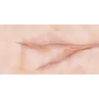 Dlažba Emil Tele Di Marmo Pure Onyx maľva 60x120 cm lesk EMMQ