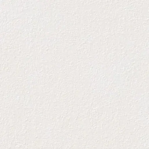 Dlažba Rako Betonico Outdoor bielosivá 60x60 cm mat DAR66790.1