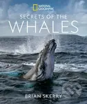 Secrets of the Whales - Skerry Brian - kniha z kategorie Umění, design a architektura