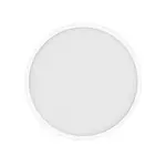 Mi Smart LED Ceiling Light D40