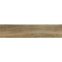 Dlažba Long MDE91 20/120