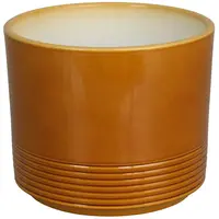 Obal na pokojové rostliny Rille 992 hořčicový 12 cm