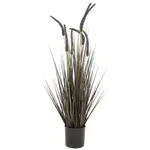 Ambia Home UMĚLÁ ROSTLINA