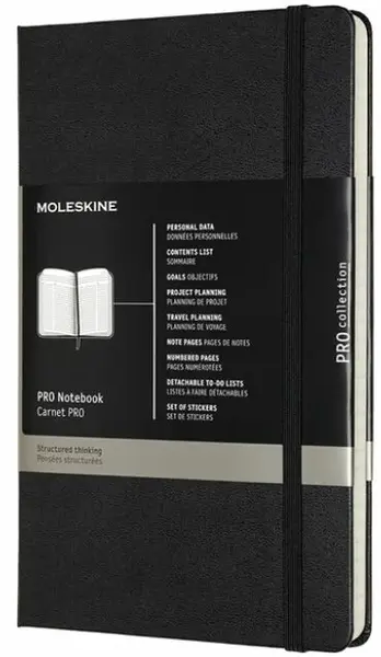 Zápisník MOLESKINE Professional černý L