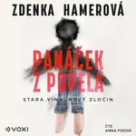 Panáček z popela - Zdenka Hamerová - audiokniha
